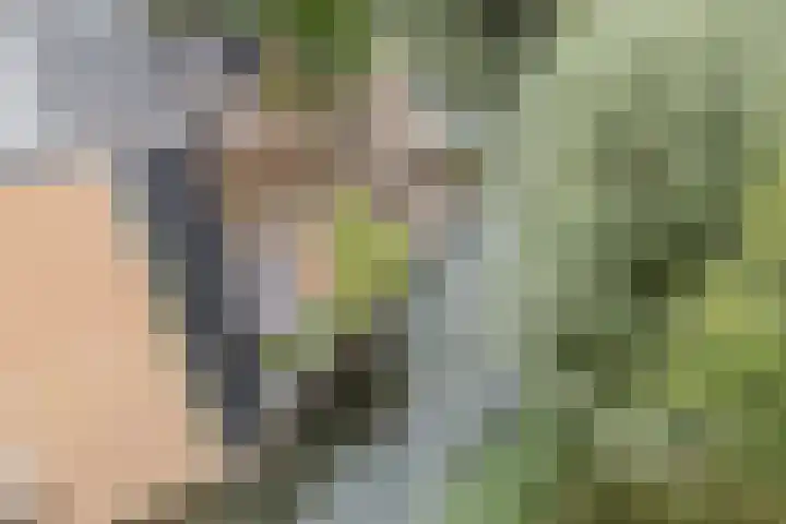 Nobel Hoeve 1 Vleuten thumbnail 57