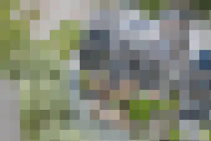 Nobel Hoeve 1 Vleuten thumbnail 58
