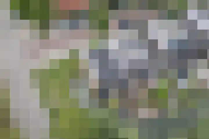 Nobel Hoeve 1 Vleuten thumbnail 59