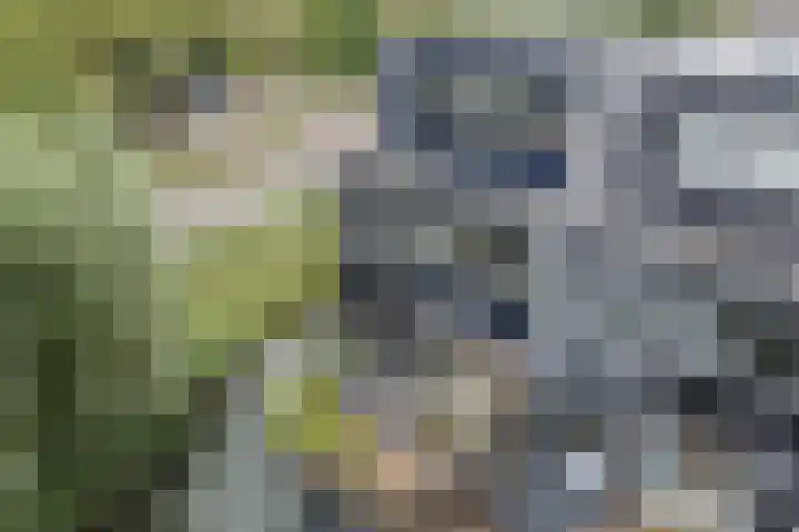 Nobel Hoeve 1 Vleuten thumbnail 60