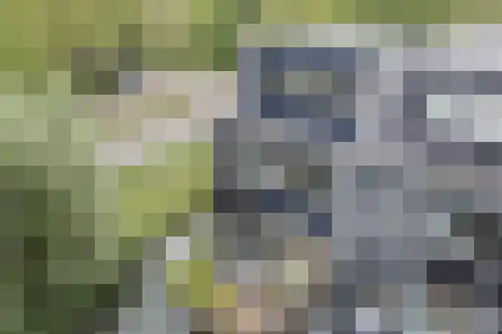 Nobel Hoeve 1 Vleuten thumbnail 61