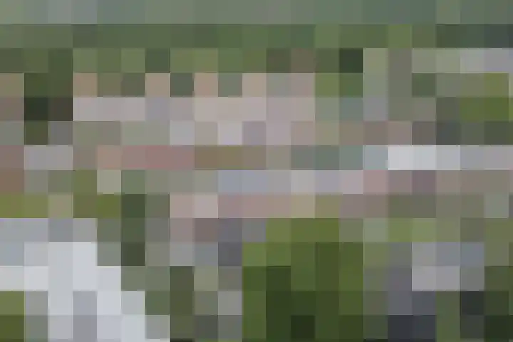 Nobel Hoeve 1 Vleuten thumbnail 63
