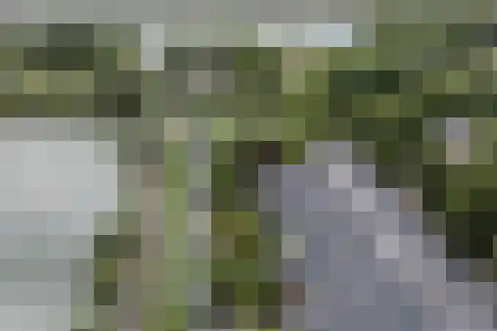 Nobel Hoeve 1 Vleuten thumbnail 64