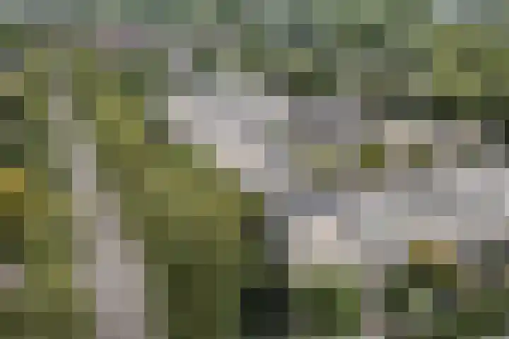Nobel Hoeve 1 Vleuten thumbnail 65