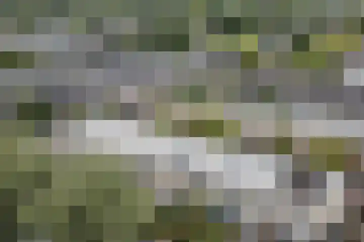 Nobel Hoeve 1 Vleuten thumbnail 66