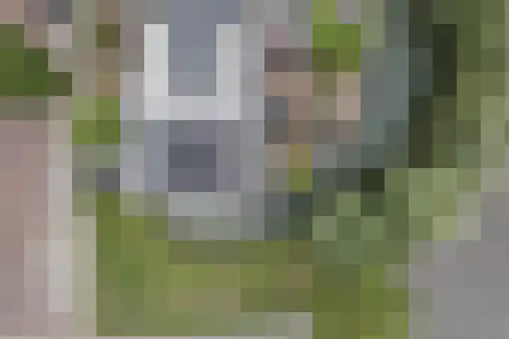 Nobel Hoeve 1 Vleuten thumbnail 67