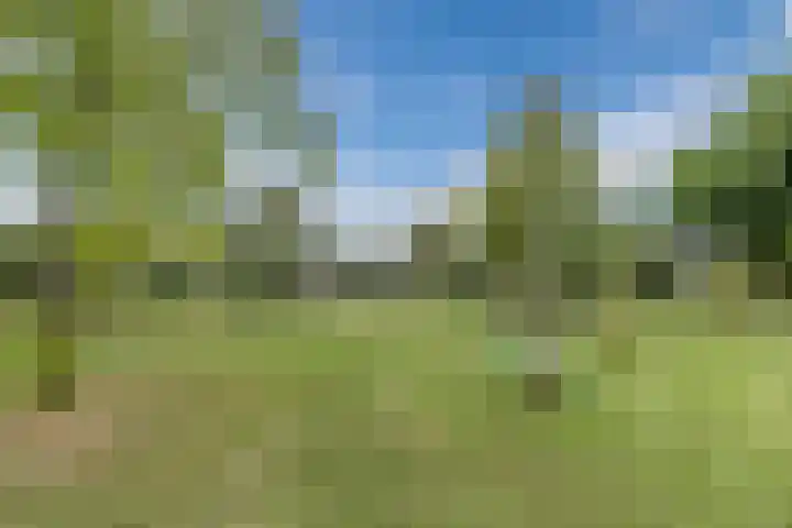 Nobel Hoeve 1 Vleuten thumbnail 68