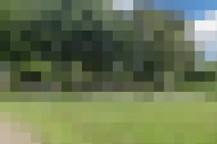 Nobel Hoeve 1 Vleuten thumbnail 69