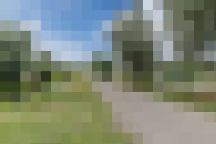 Nobel Hoeve 1 Vleuten thumbnail 70
