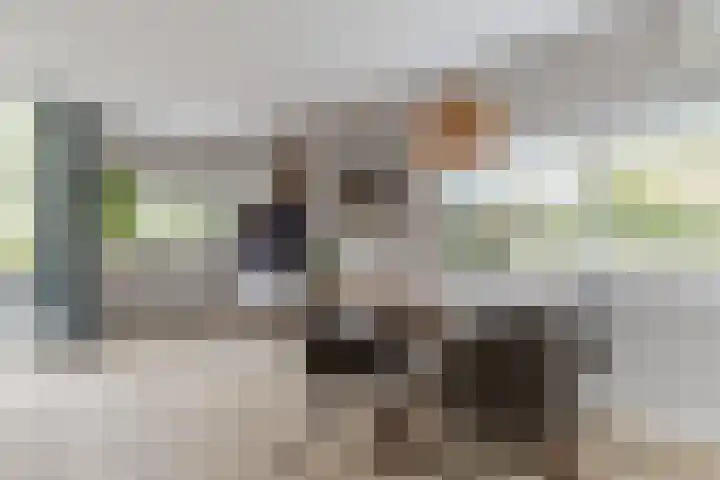 Nobel Hoeve 1 Vleuten thumbnail 9