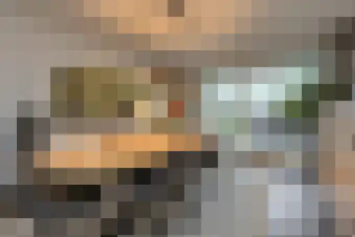 Nobelaar 9 Oosterhout thumbnail 11