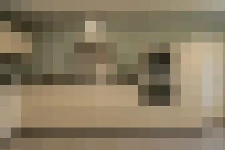 Nobelaar 9 Oosterhout thumbnail 13