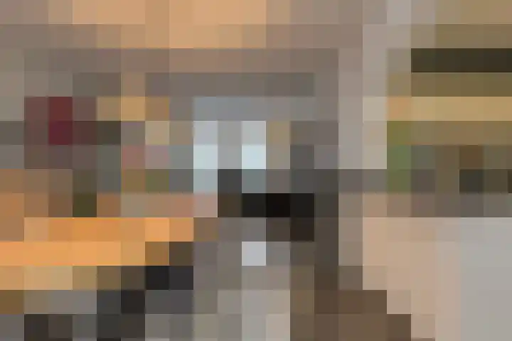 Nobelaar 9 Oosterhout thumbnail 18