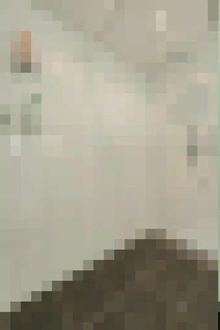 Nobelaar 9 Oosterhout thumbnail 32