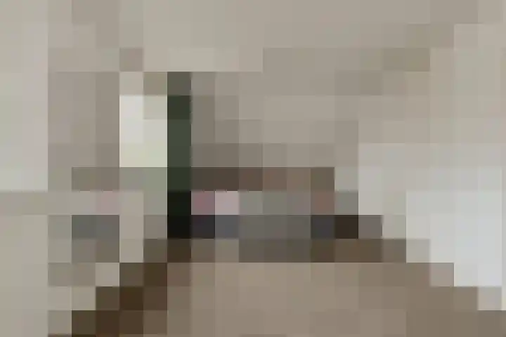 Nobelaar 9 Oosterhout thumbnail 33