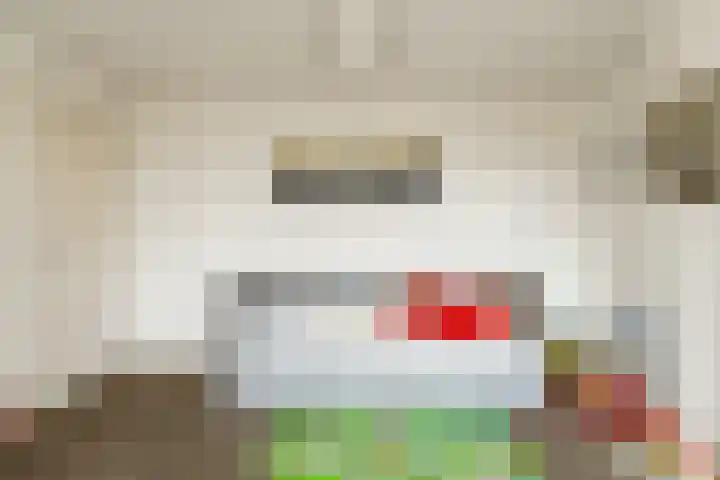 Nobelaar 9 Oosterhout thumbnail 38