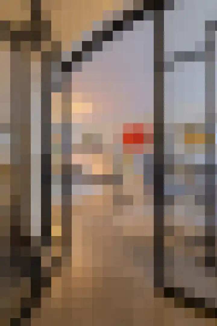 Nobelaar 9 Oosterhout thumbnail 4