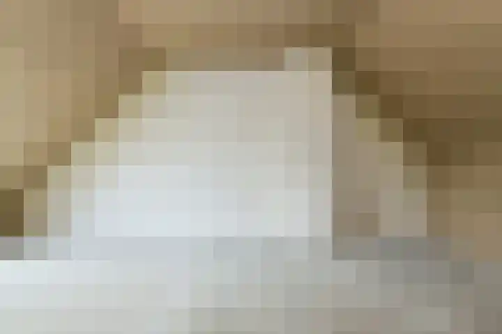 Nobelaar 9 Oosterhout thumbnail 43