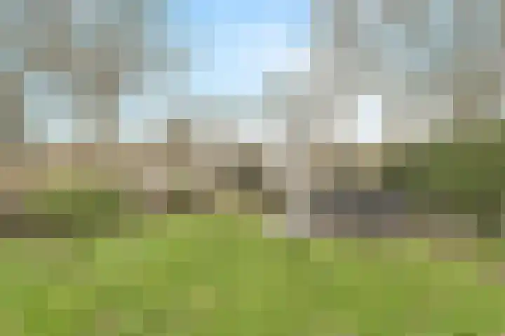 Nobelaar 9 Oosterhout thumbnail 48