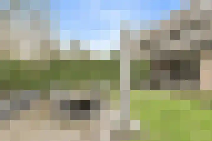 Nobelaar 9 Oosterhout thumbnail 49