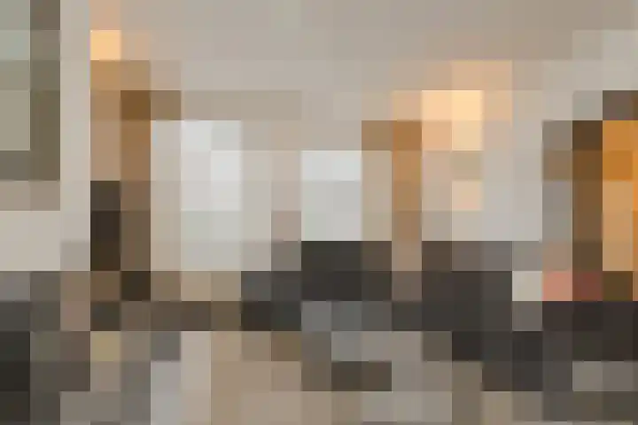 Nobelaar 9 Oosterhout thumbnail 5