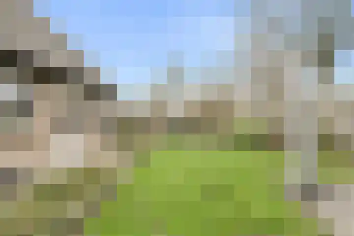 Nobelaar 9 Oosterhout thumbnail 51