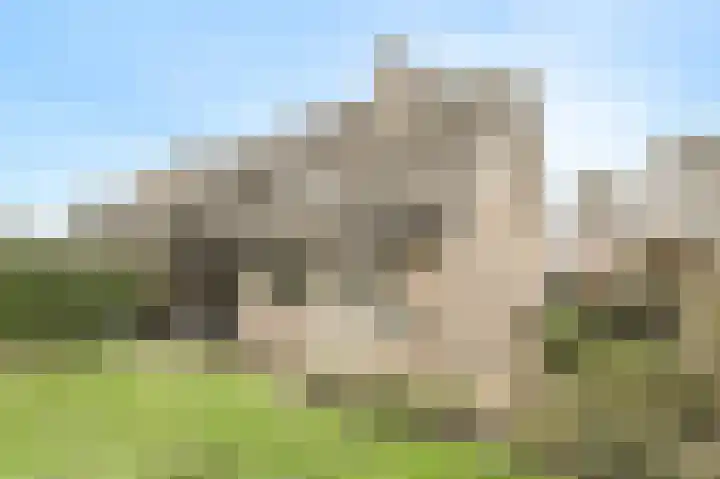 Nobelaar 9 Oosterhout thumbnail 52