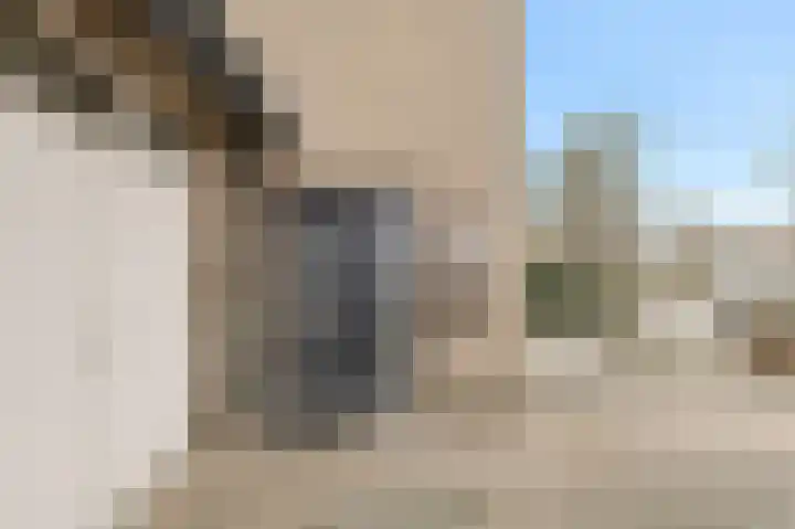 Nobelaar 9 Oosterhout thumbnail 54