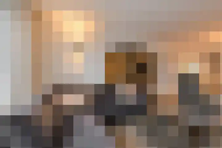Nobelaar 9 Oosterhout thumbnail 6