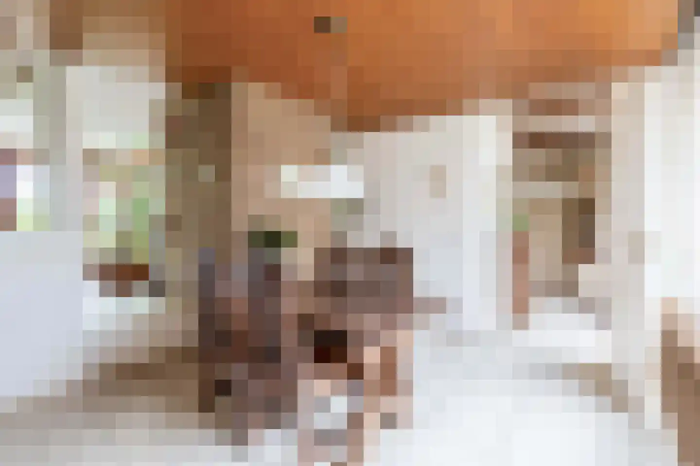 Nobeldreef 23 Schoonhoven thumbnail 12