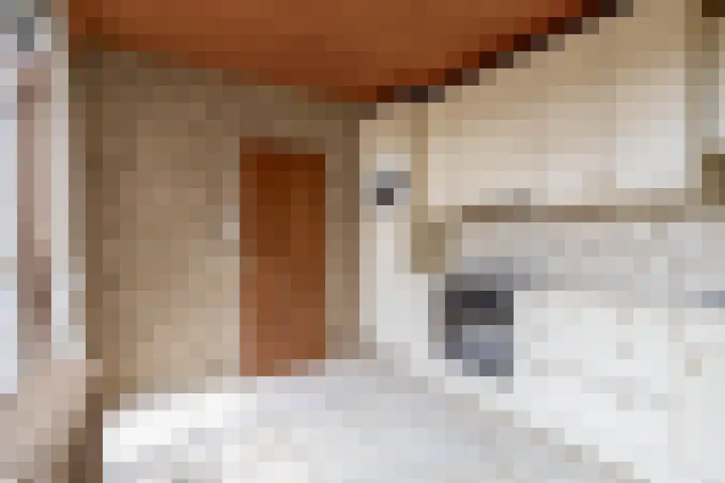 Nobeldreef 23 Schoonhoven thumbnail 19