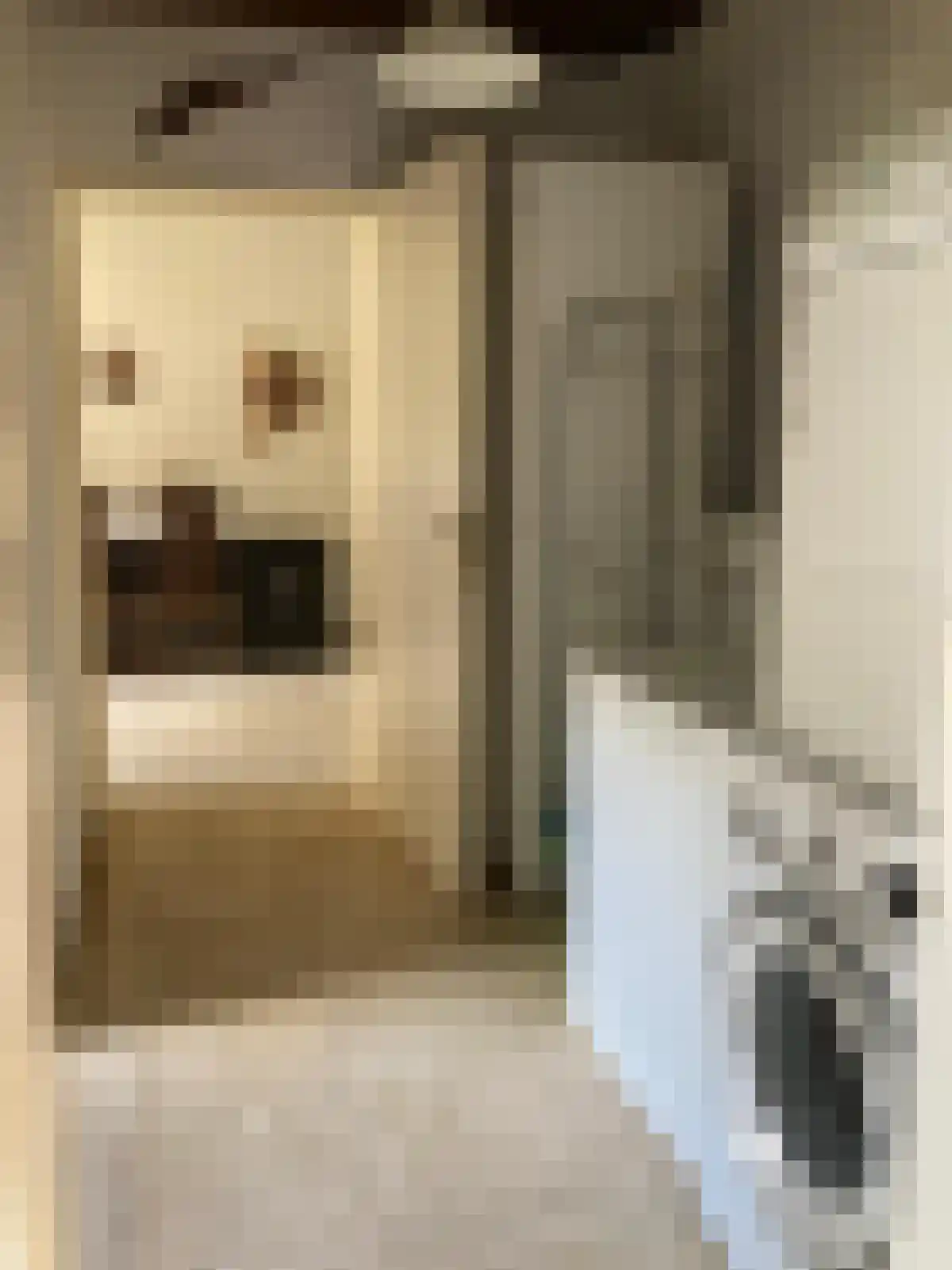 Nobeldreef 23 Schoonhoven thumbnail 21