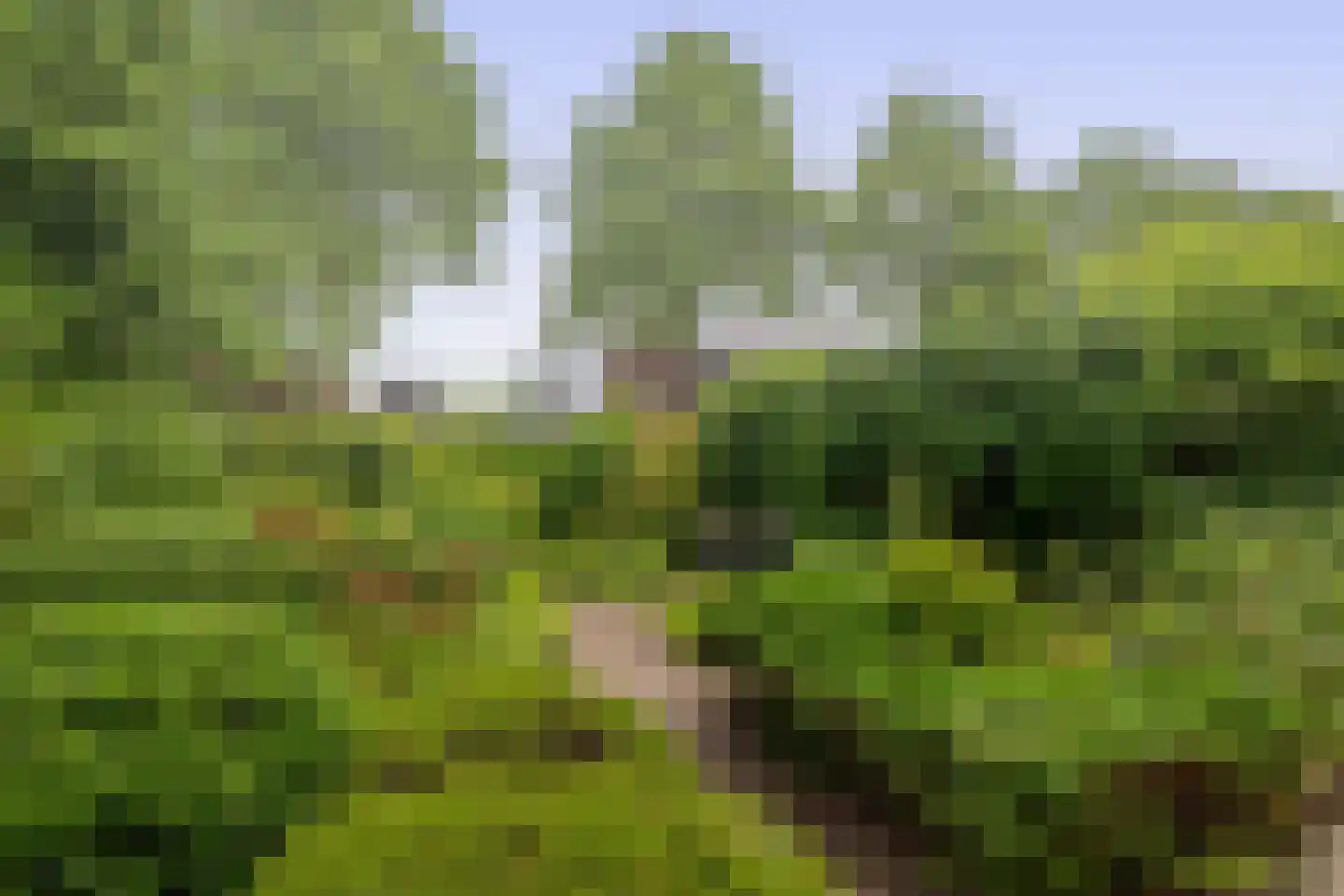 Nobeldreef 23 Schoonhoven thumbnail 31