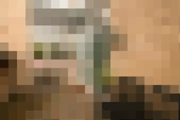 Nobeldreef 32 Schoonhoven thumbnail 10