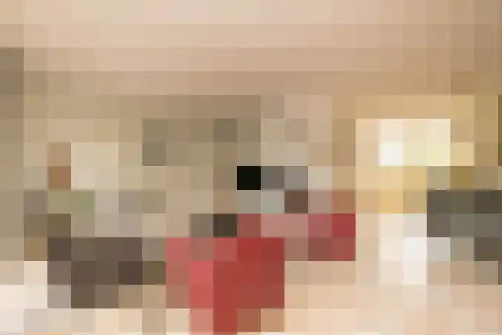 Nobeldreef 32 Schoonhoven thumbnail 18