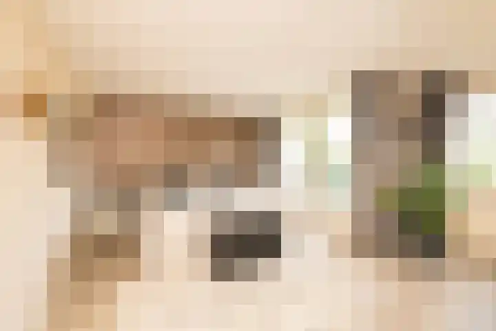 Nobeldreef 32 Schoonhoven thumbnail 32