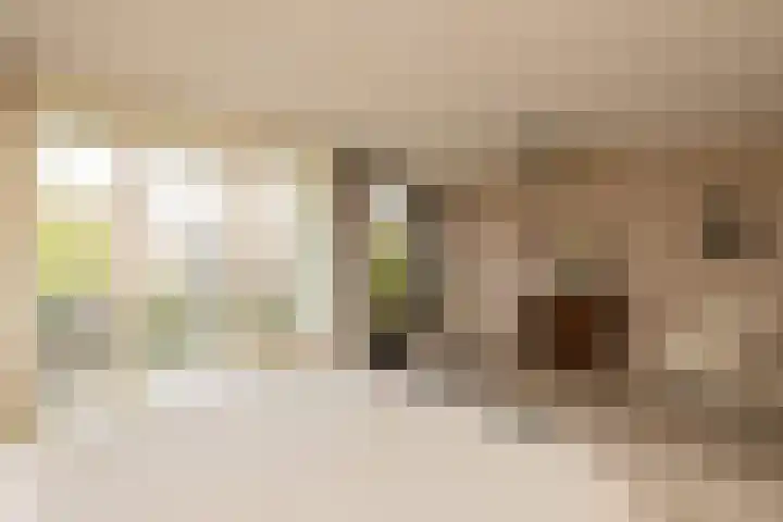 Nobeldreef 32 Schoonhoven thumbnail 33