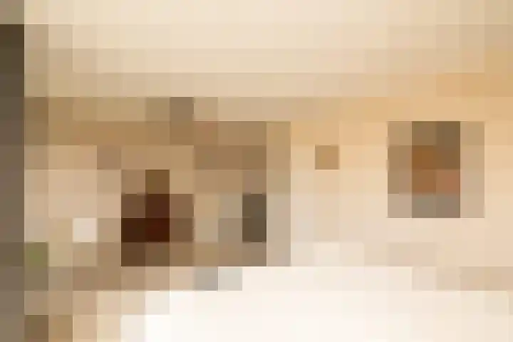 Nobeldreef 32 Schoonhoven thumbnail 34