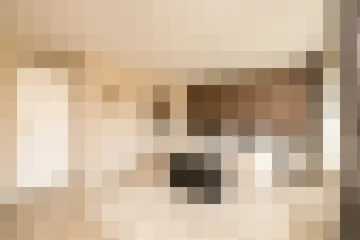 Nobeldreef 32 Schoonhoven thumbnail 35