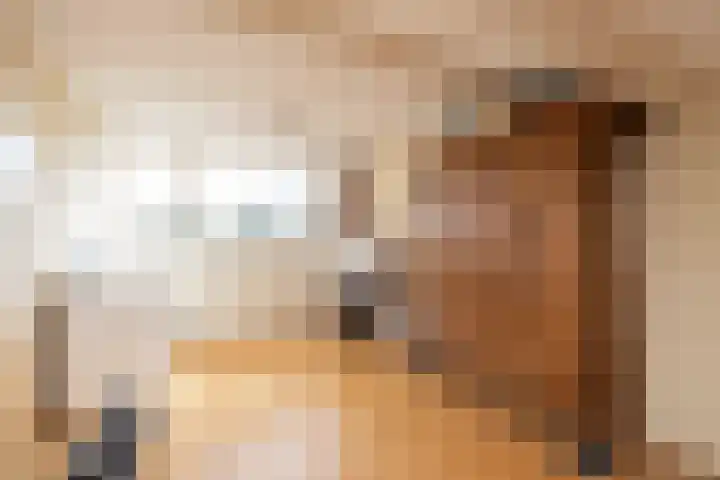 Nobeldreef 32 Schoonhoven thumbnail 53