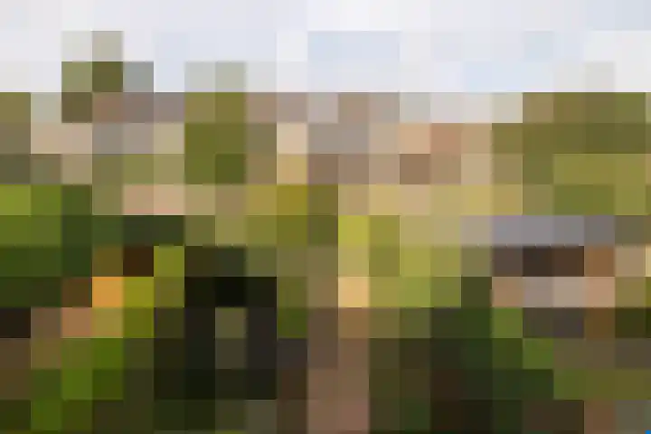Nobeldreef 32 Schoonhoven thumbnail 57