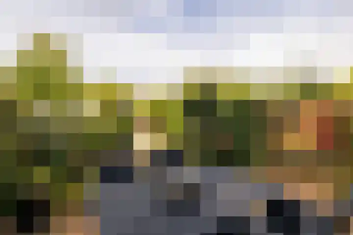 Nobeldreef 32 Schoonhoven thumbnail 58