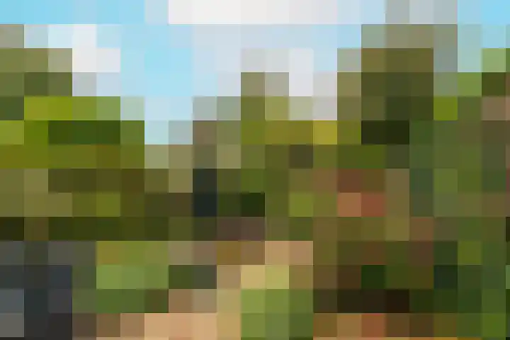 Nobeldreef 32 Schoonhoven thumbnail 59