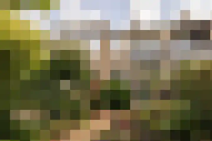 Nobeldreef 32 Schoonhoven thumbnail 61