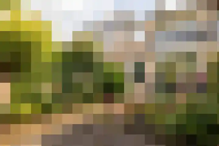 Nobeldreef 32 Schoonhoven thumbnail 62