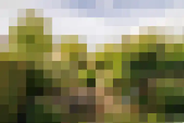 Nobeldreef 32 Schoonhoven thumbnail 63