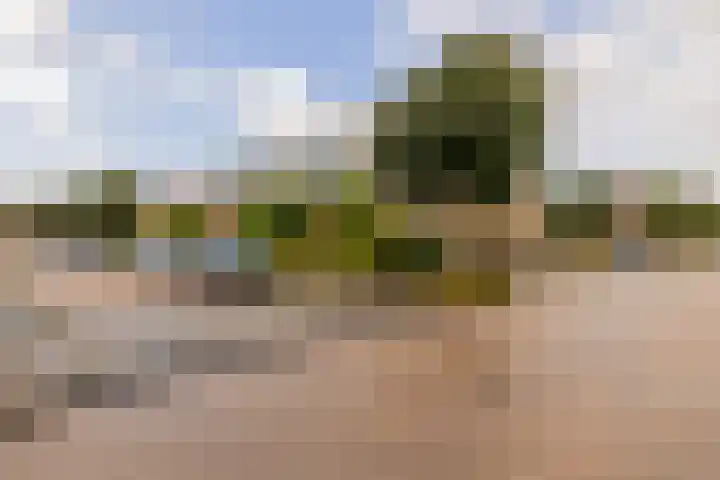 Nobeldreef 32 Schoonhoven thumbnail 67