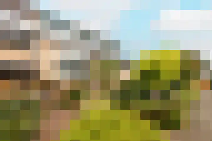 Nobeldreef 32 Schoonhoven thumbnail 7