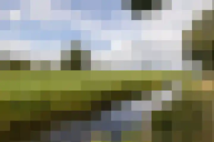 Nobeldreef 32 Schoonhoven thumbnail 70