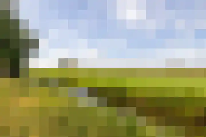 Nobeldreef 32 Schoonhoven thumbnail 72